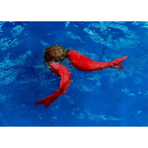 仿生智能機(jī)器魚